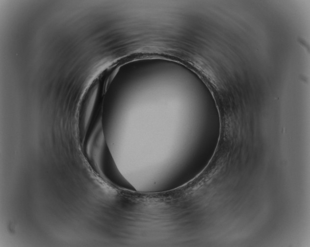 X0000091900976200709121456