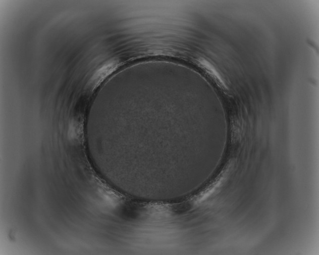 X0000091900977200709121456