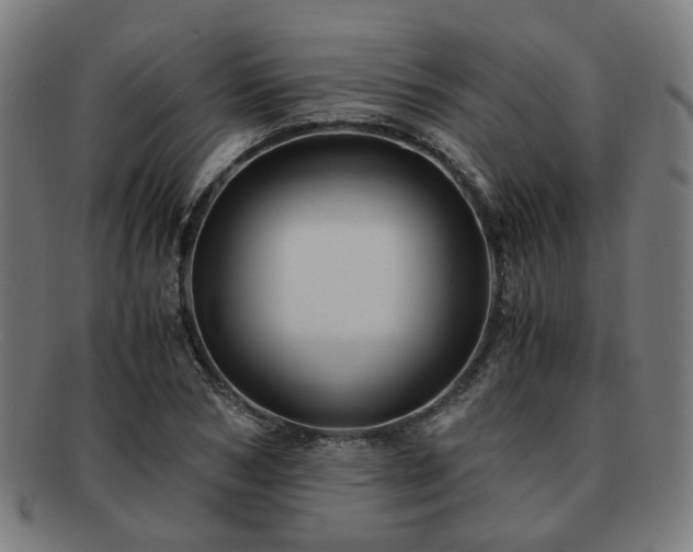 X0000091900978200709121456