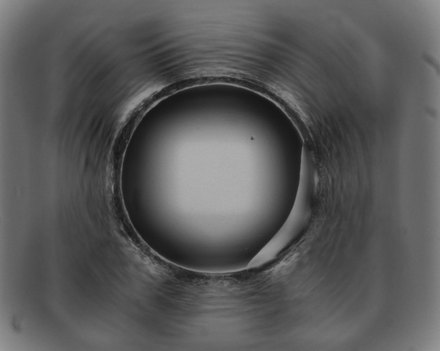 X0000091900979200709121455