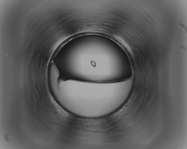 X0000091900980200709121455