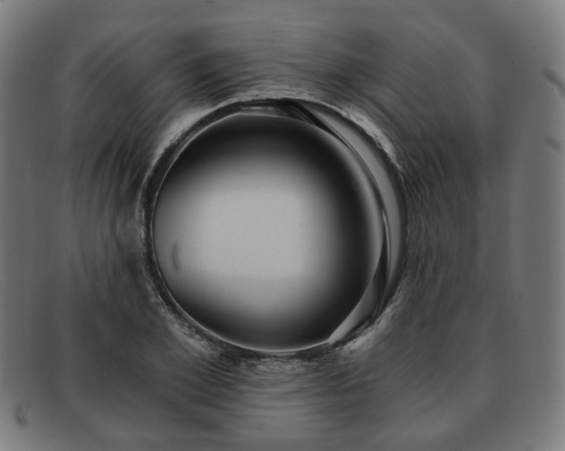 X0000091900981200709121455