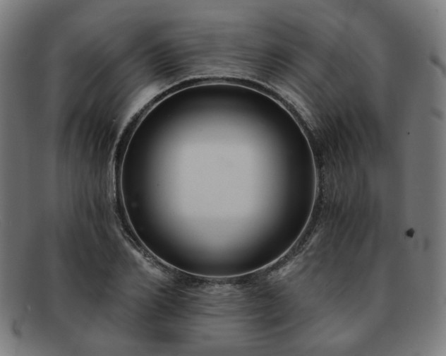 X0000091900982200709121455