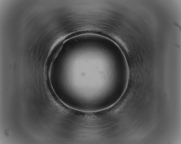 X0000091900983200709121455