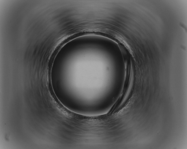 X0000091900984200709121455