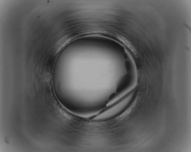 X0000091900985200709121455