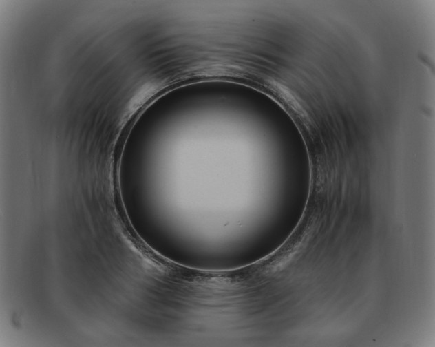 X0000091900986200709121455