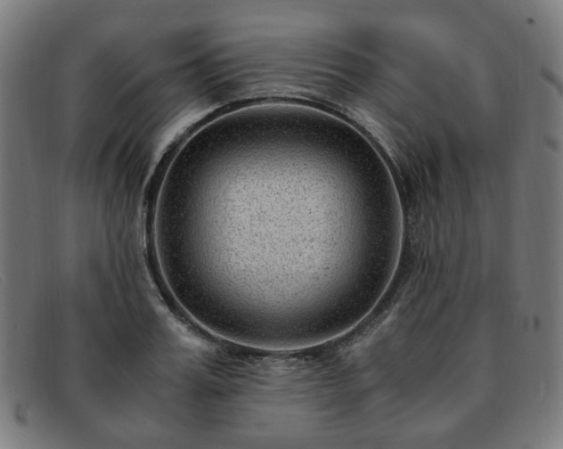 X0000091900987200709121455