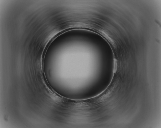 X0000091900988200709121455