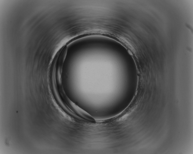 X0000091900989200709121455