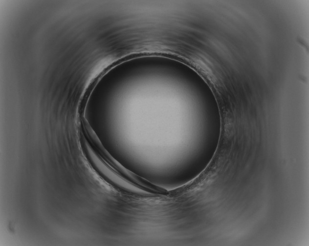 X0000091900990200709121455