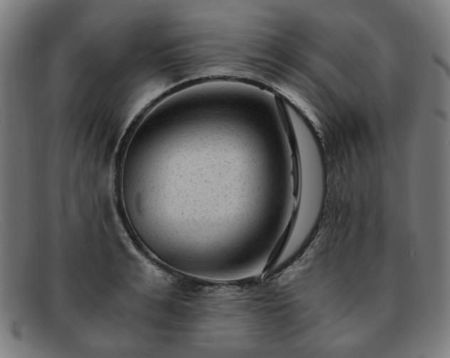 X0000091900991200709121455