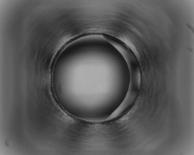 X0000091900992200709121455