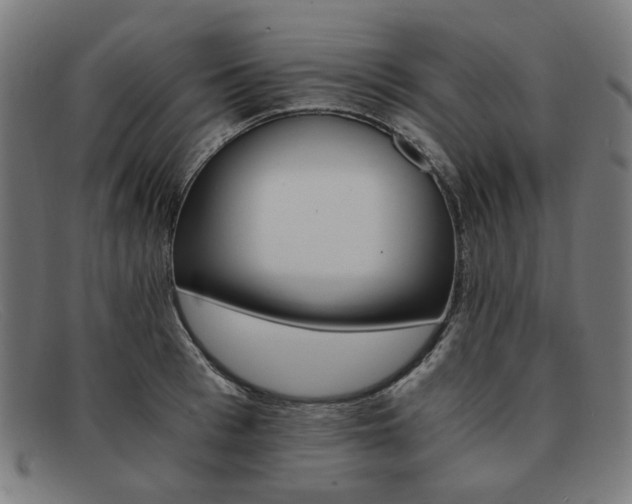 X0000091900993200709121455