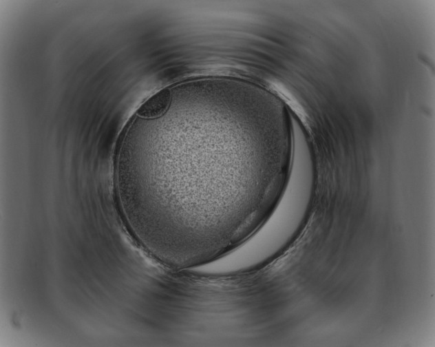 X0000091900994200709121455