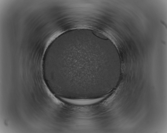 X0000091900995200709121455