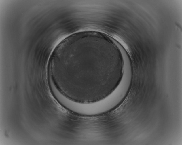 X0000091900996200709121455