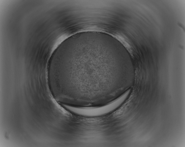 X0000091900998200709121455