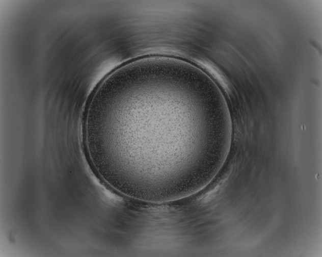 X0000091900999200709121455