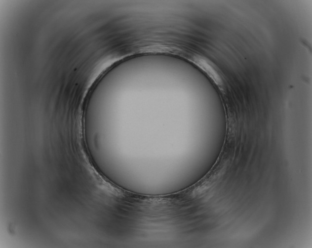 X0000091901000200709121455