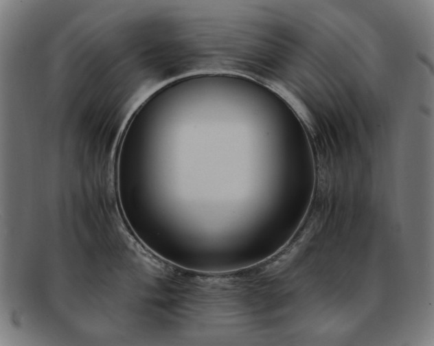 X0000091901004200709121455