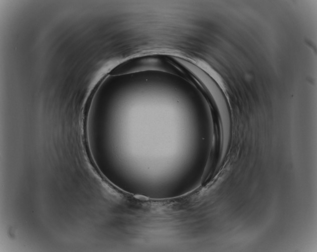 X0000091901005200709121455