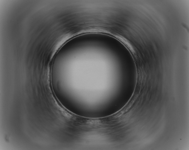 X0000091901006200709121455