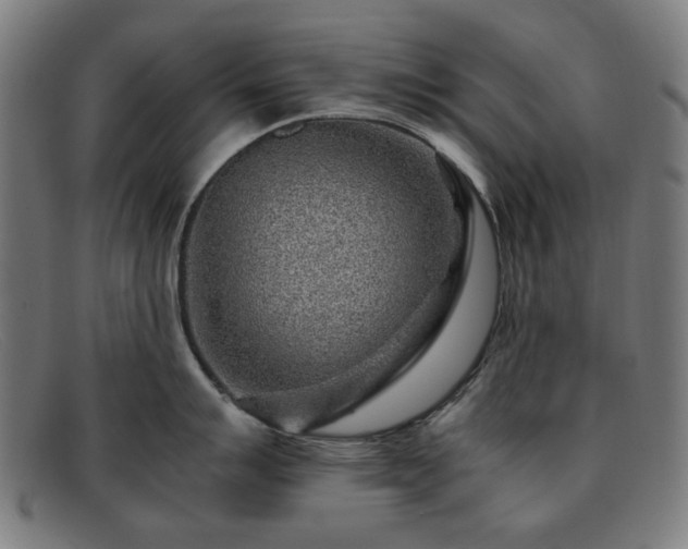 X0000091901007200709121455