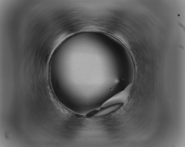 X0000091901008200709121455