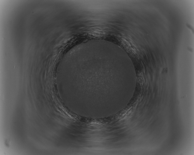 X0000091901009200709121455