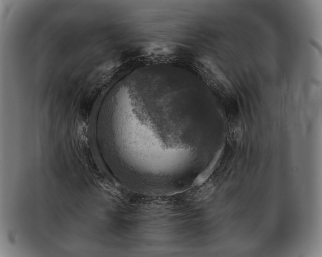 X0000091901010200709121455