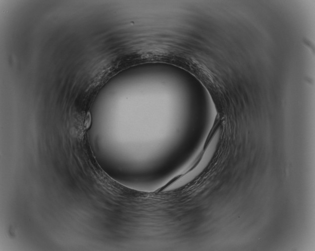 X0000091901012200709121455