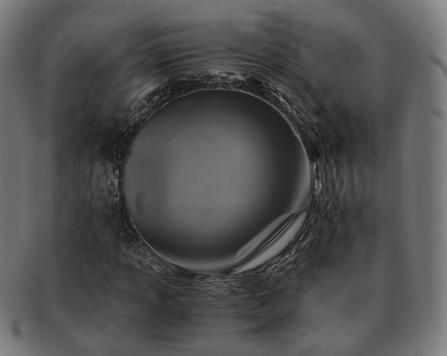 X0000091901013200709121455