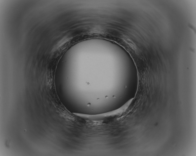 X0000091901015200709121455