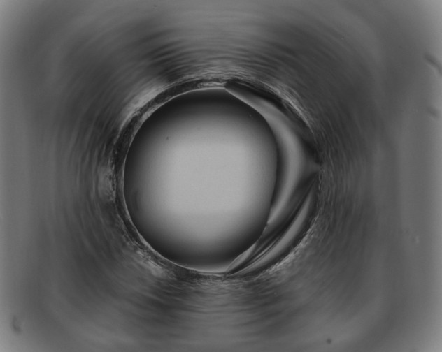 X0000091901018200709121455