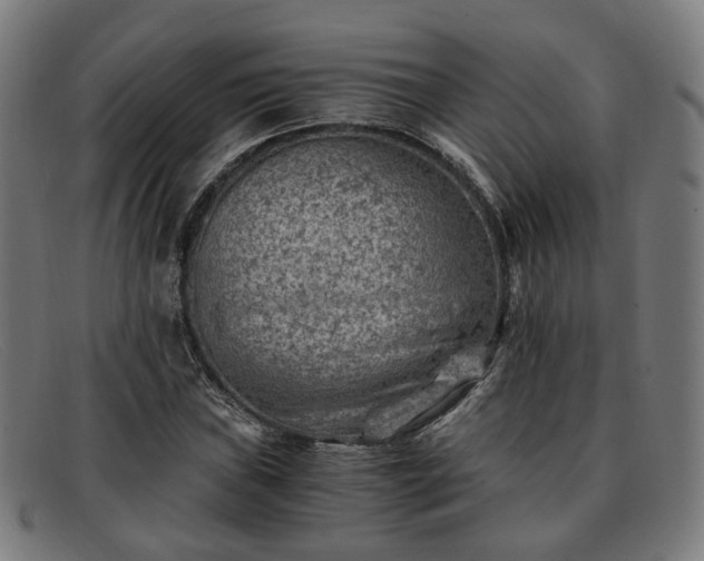 X0000091901019200709121455