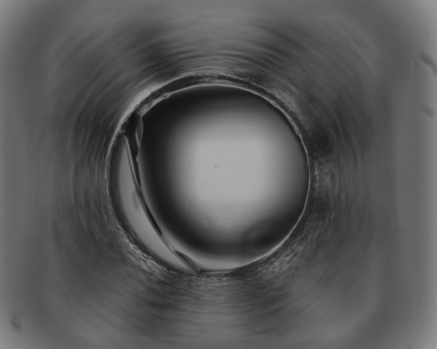 X0000091901020200709121455