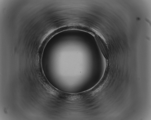 X0000091901021200709121455