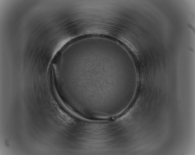 X0000091901022200709121455