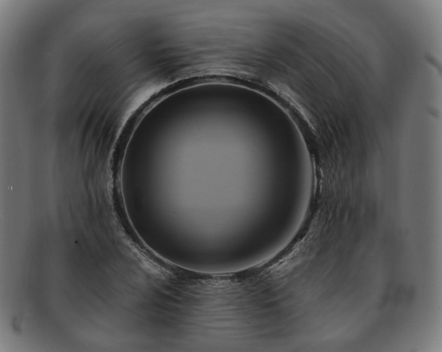 X0000091901024200709121455