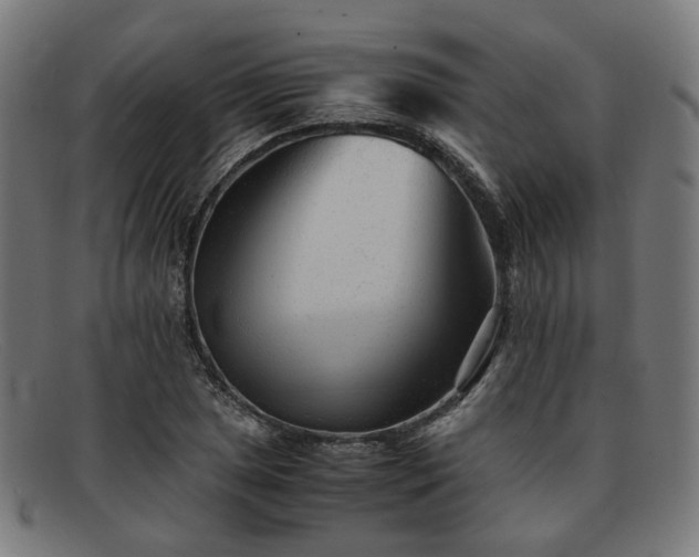 X0000091901025200709121455