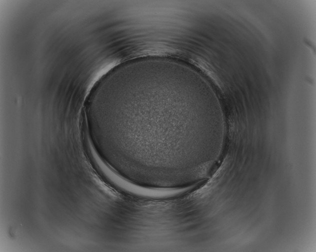 X0000091901026200709121455