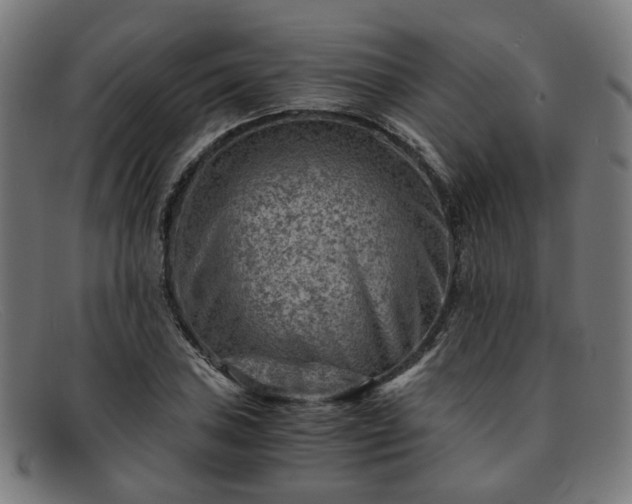 X0000091901027200709121455