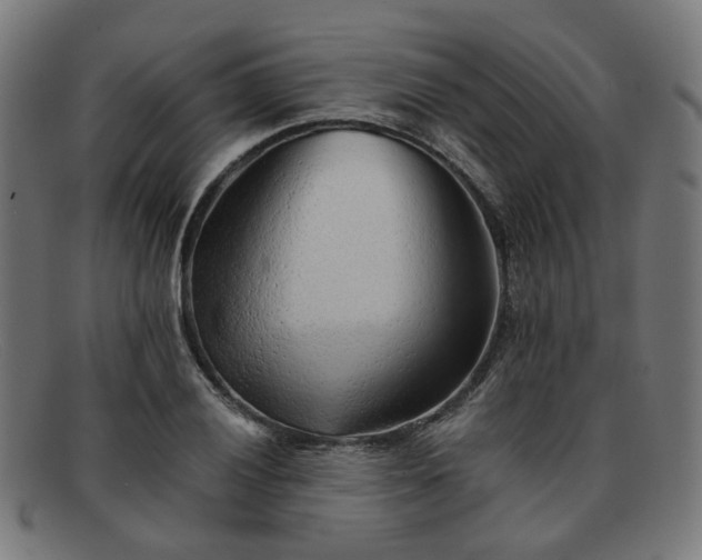 X0000091901028200709121455