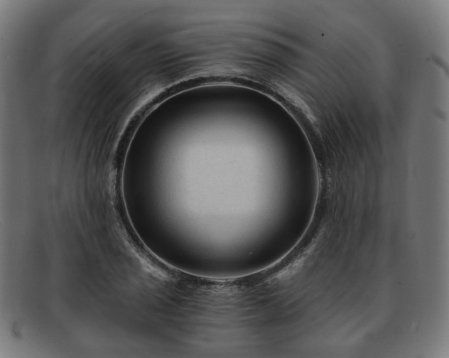 X0000091901029200709121455