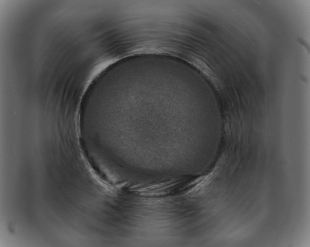 X0000091901030200709121455