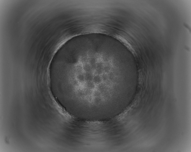 X0000091901031200709121455