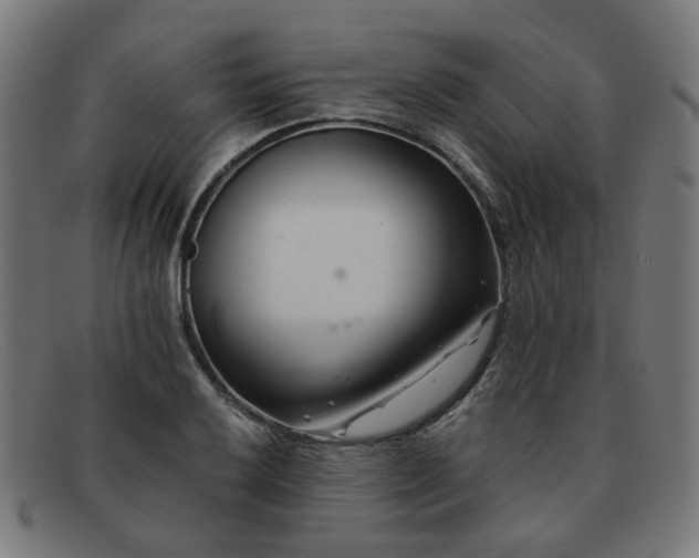 X0000091901032200709121455