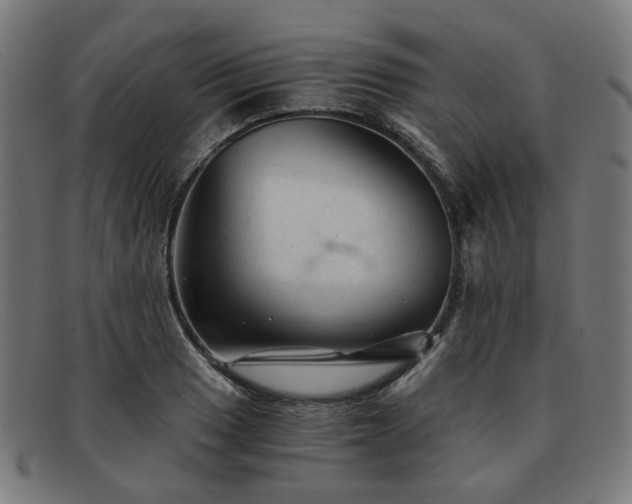 X0000091901033200709121455