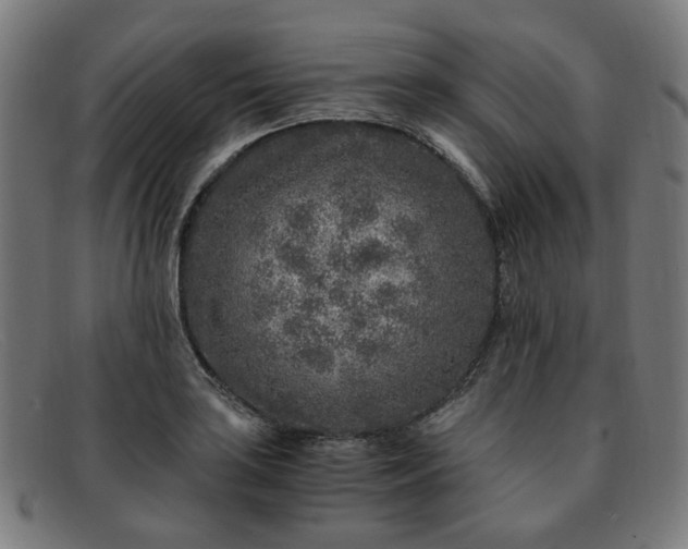 X0000091901035200709121455